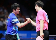 爱游戏世界杯2026-瑞典队轻取韩国队，樊振东高光表现