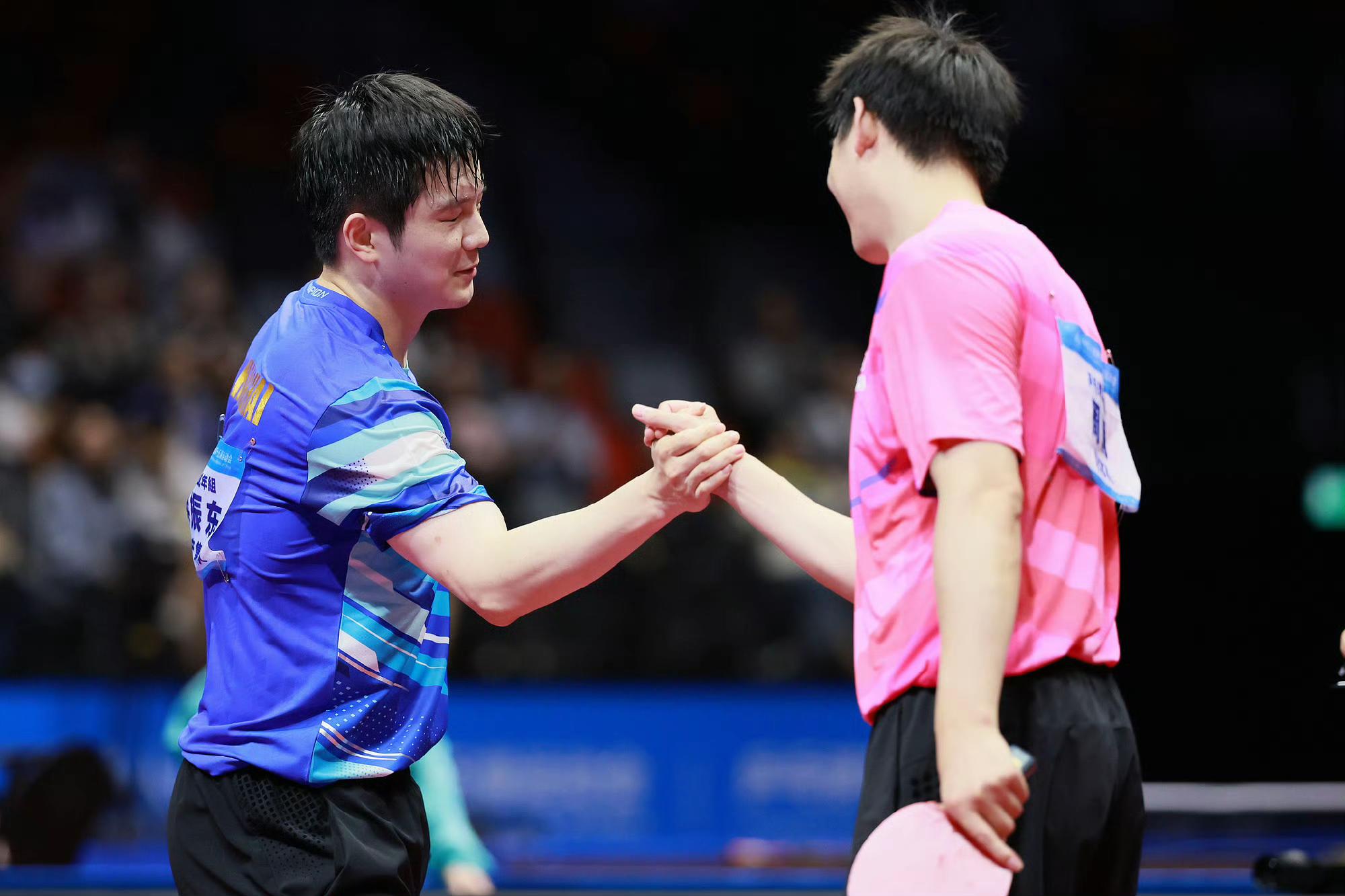 瑞典队轻取韩国队，樊振东高光表现