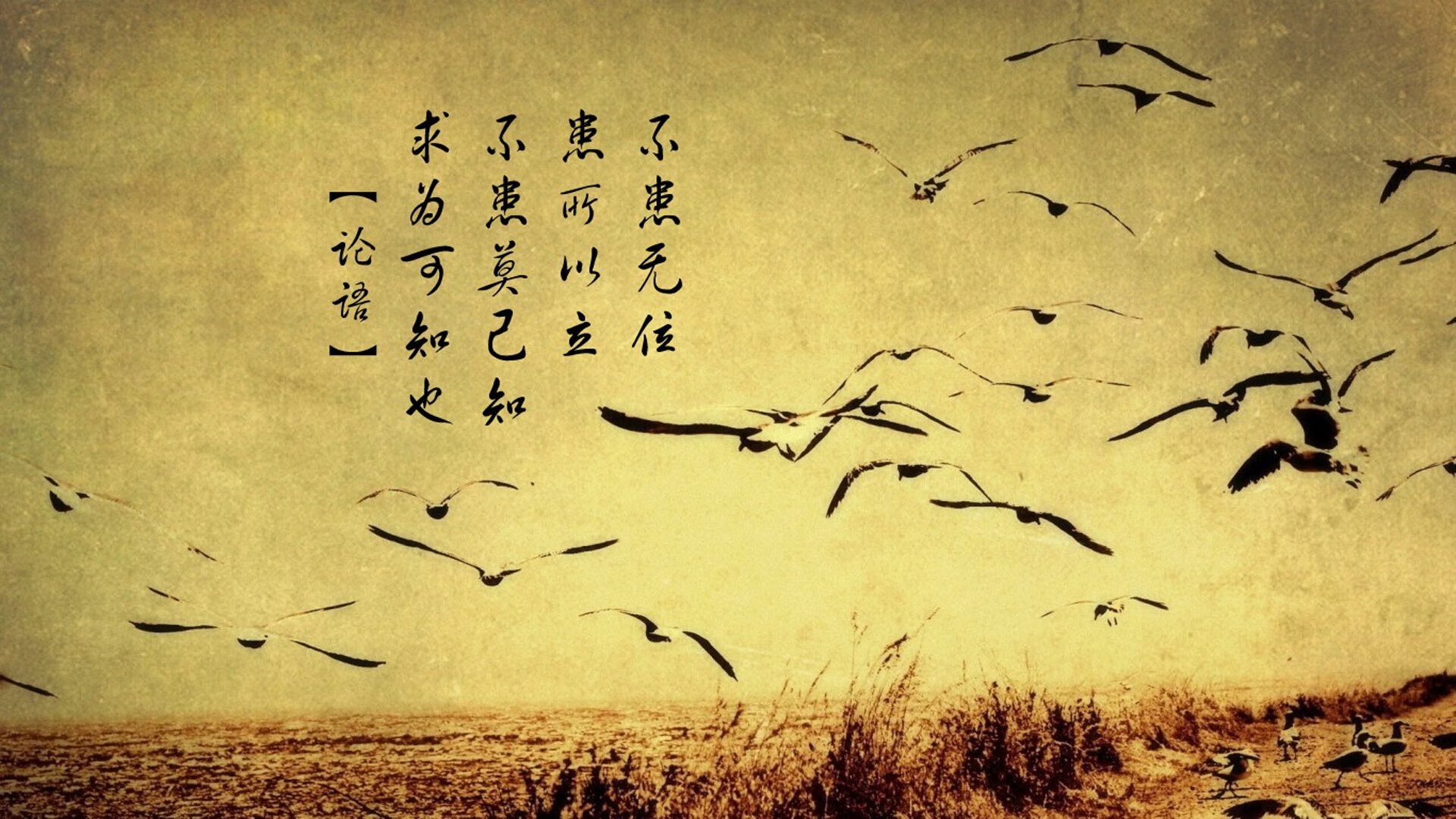 维尼修斯闪耀伯纳乌,个人能力撕裂乌克兰防线,马竞战术体系面临新挑战